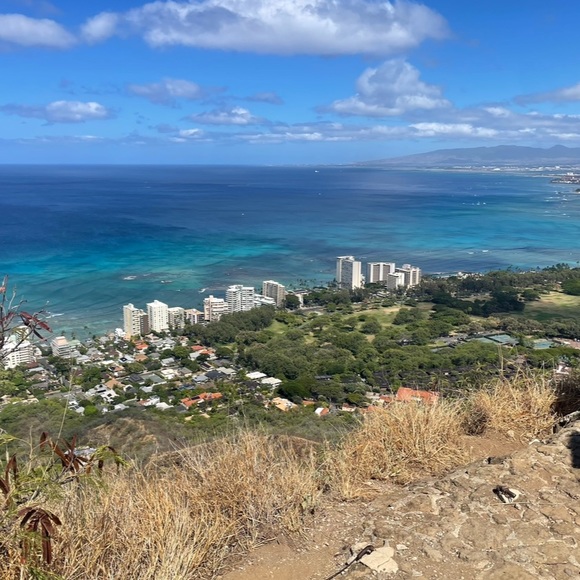 Meet your Posher, Olivia - Picture 1 of 1